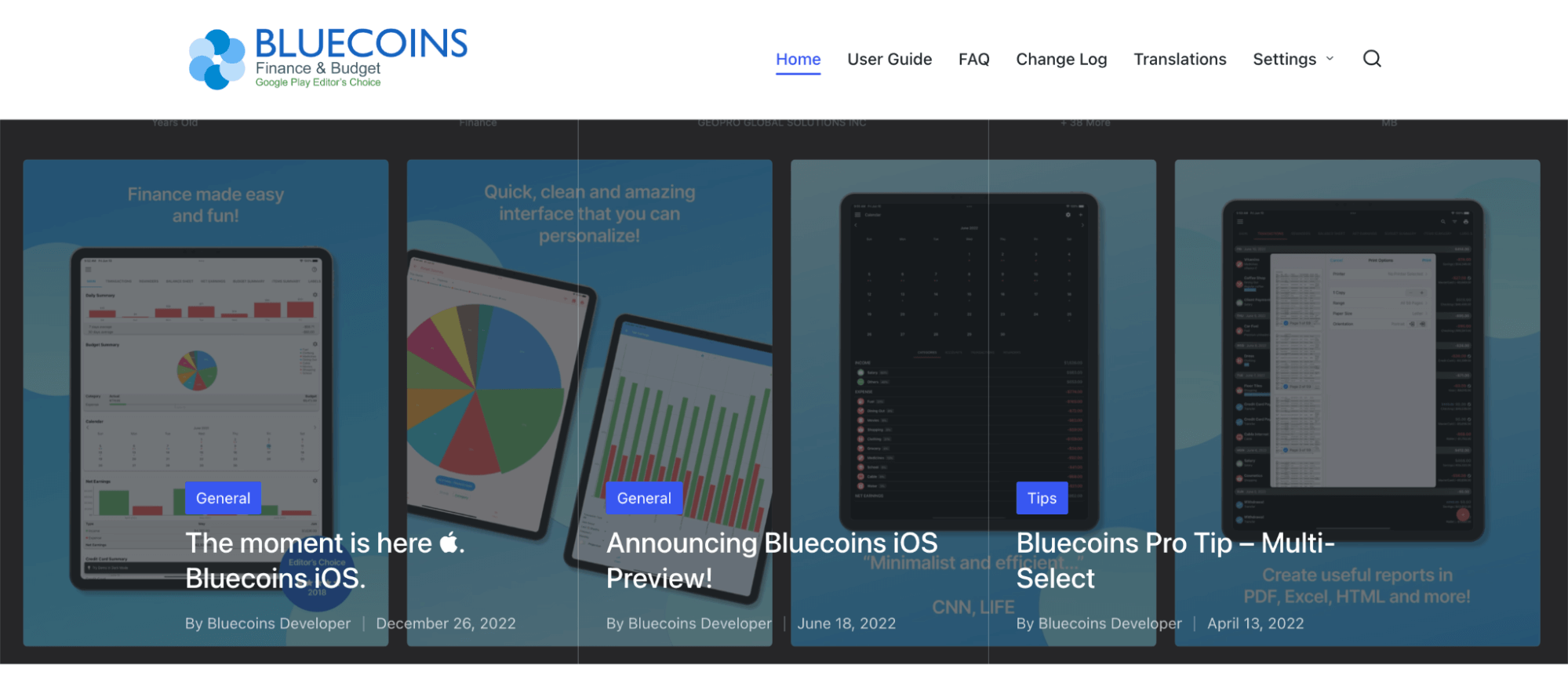 Best budgeting apps 2023; Bluecoins homepage.